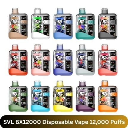 SVL BX12000 Disposable Vape 12,000 Puffs